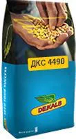 Кукурудза ДКС 4490